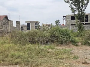 50x100 Residential Plot in Kenyatta Rd,Croton