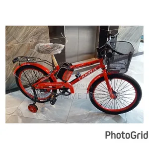 Tanda Bike Size 20
