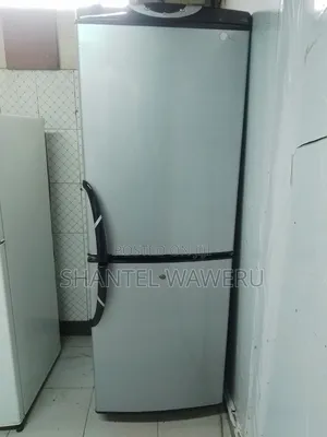Silver Lg Refrigerator Bottom Freezer