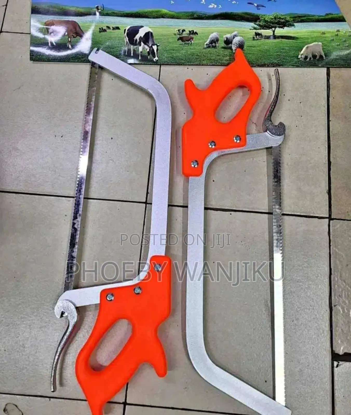 Butchery Hack Saw