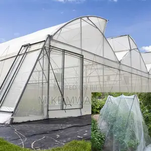 Greenhouse Insect Netting (2.5m X 50m)