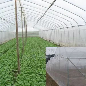 Fine Mesh 40-60 Holes/Cm2 Greenhouse Insect Netting