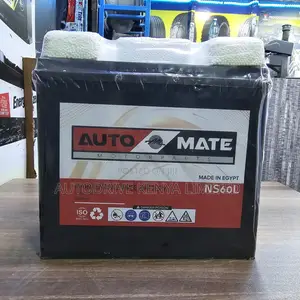 Ns60 Automate Car Battery