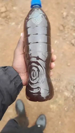 Rabbit Urine