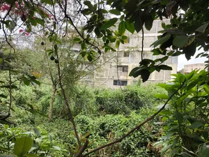 Commercial 8th Acre Plot In Ngong Vet 2nd Row From Ngong Rd