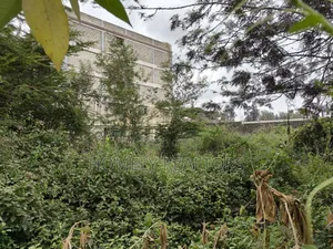 Commercial Quarter Acre in Ngong Vet 2nd Row From Ngong Road