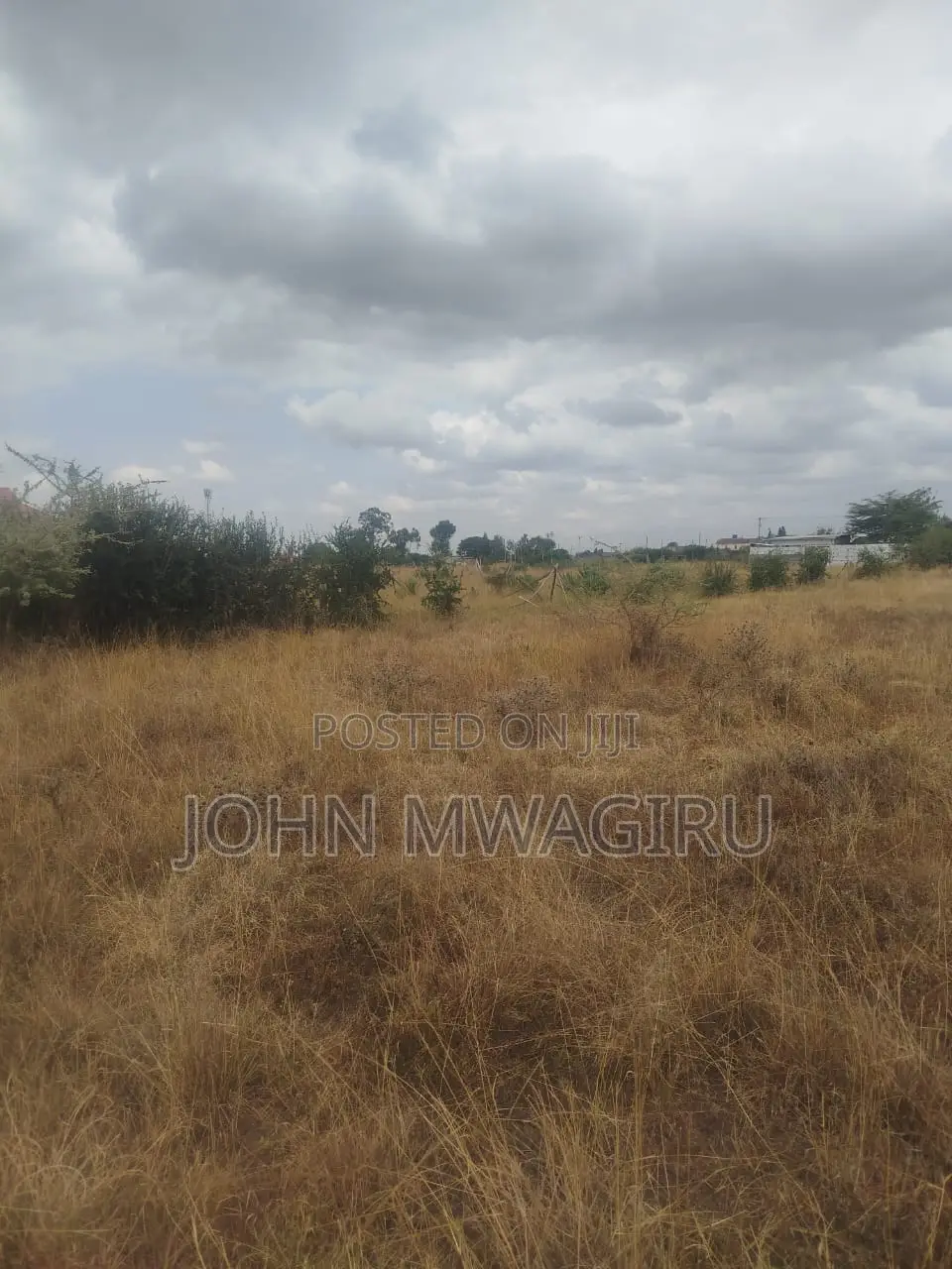 Murera 40*60 Plot