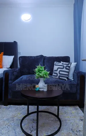 Airbnb Studio in Kamakis Eastern Bypass Ruiru