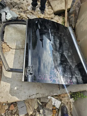 Front Door Lexus Rx 450h on Sale