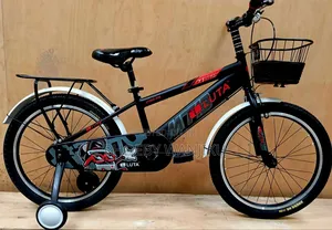 Smart Kids Bike