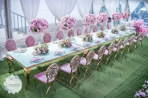 Stylish Ela Chairs for Hire