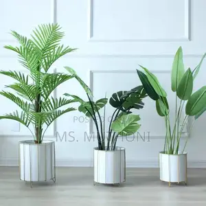 Beautiful Aesthetic Floor Standing Flower Pot* Set (3)