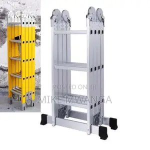 Anti-Slip Rubber Feet Multipurpose Ladder (24 Ft) 4x6
