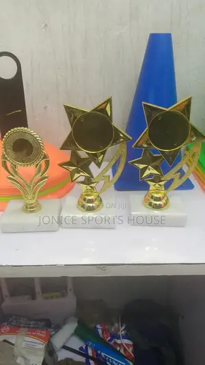 Individual Award Trophy