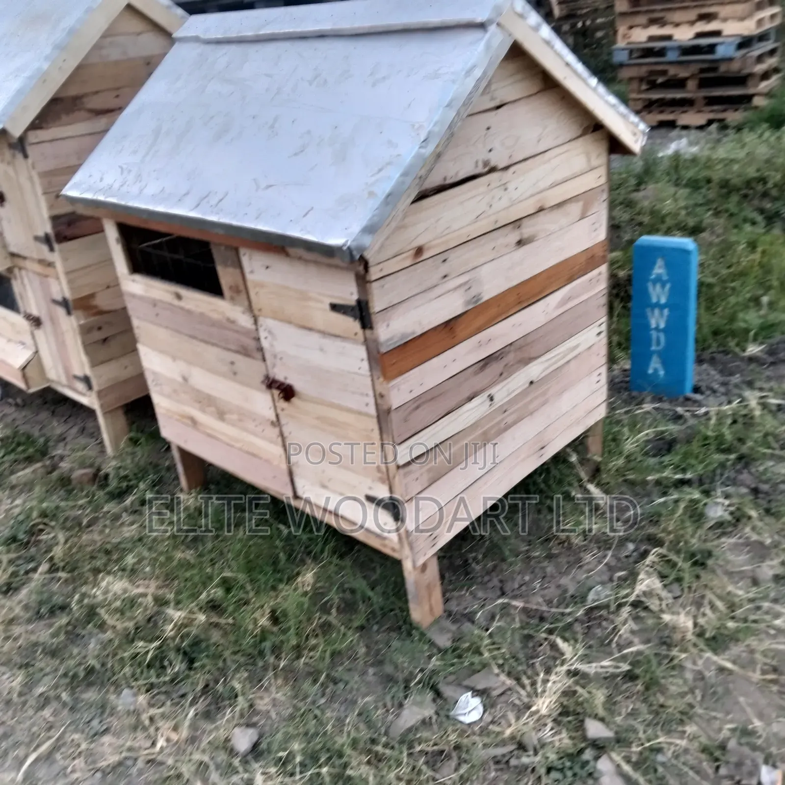 Dog Shelter/Kennel
