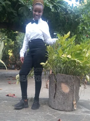 Housekeeping and Cleaning