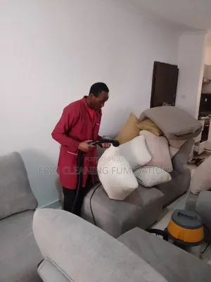 Routine Sofa Cleaning/Vacuuming/Fast Dry Services