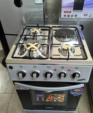 50*55 Ecomax 3+1 Free Standing Cooker E3+1c/G