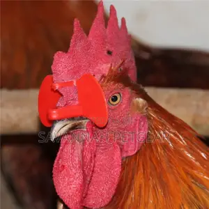 Plastic Chicken Eye Glasses for Poultry Pheasant Farm -100pc