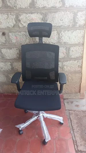 Imported Orthopedic Office Chair