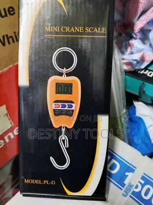 Digital Mini Crane Scale 200kg