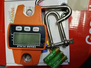Mini Crane Scale 300kg/Digital Scale