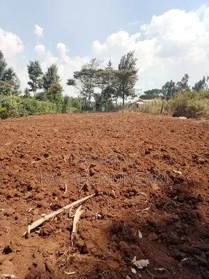 Land for Sale in Ngong Kibiko View Point