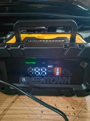 12v/24v Smart Car Battery Charger