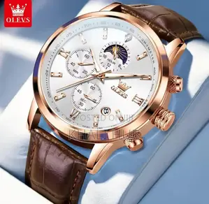 Men's Watches Classic Business Olevs Watch
