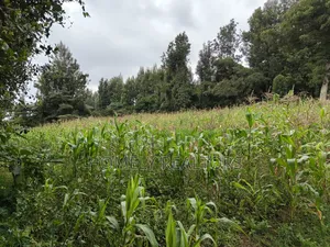 One Acre Piece of Land in Ngong, Olulua Rd With Scenic View