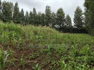Half Acre Plot in Ngong, Along Olulua Rd With Scenic View