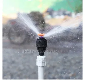 Egg Shaped Sprinkler 25mm