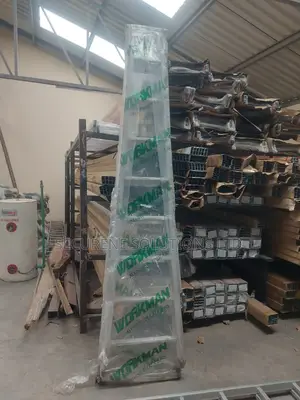 9 Step Workman Ladder