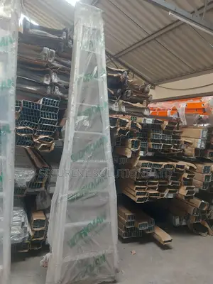 10 Steps Workman Dual Purpose Ladder".