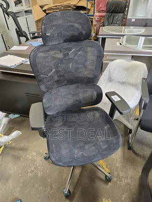 Headrest Ergonomic Office Chair