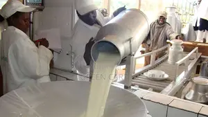Dairy Processing Consultant