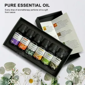 6pc Therapeutic Essential Oil Kit (10ml at
