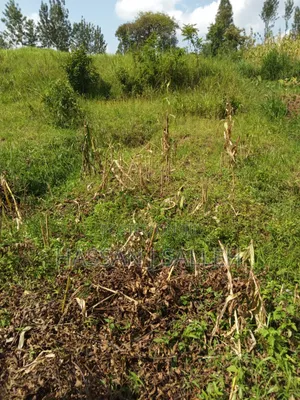 3acres Mumias East for Sale
