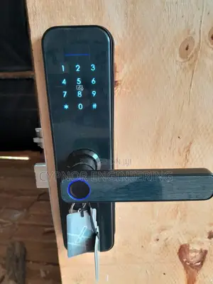 Wifi Enabled Smart Access Tuya Wifi Waterproof Electric Lock