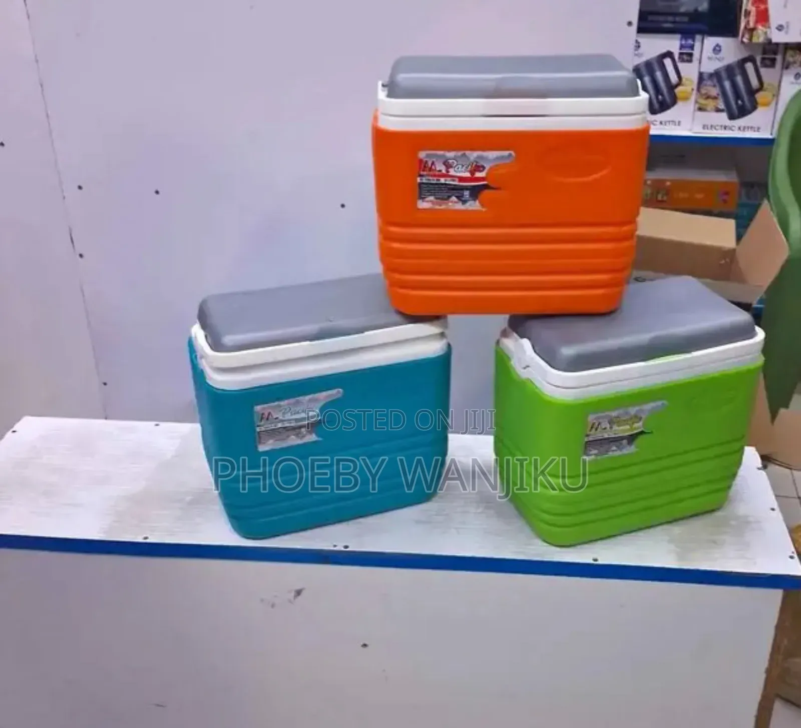 Portable Cooler Box 10l