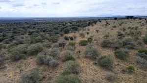8 Acres Imaroro at 600,000kshs Per Acre