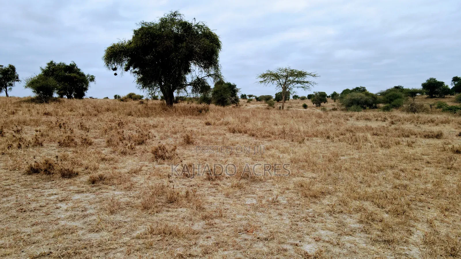 40 and 100 Acres Imaroro- Konza Road