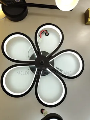 Led Wall Light