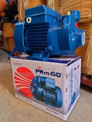 Pedrollo Italy 0.5hp Water Pump