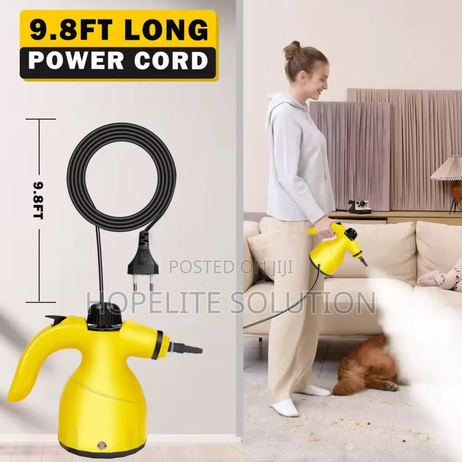 Steam Cleaner