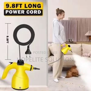 Steam Cleaner