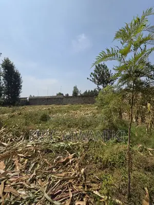 50x100 Plot for Sale in Juja, Kiahuria