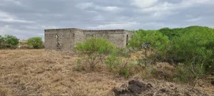 For 1.35 Get Kitengela Plains 2, 500 MTRS From Tarmac