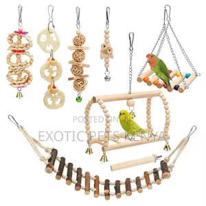 Wooden Bird Toys Set