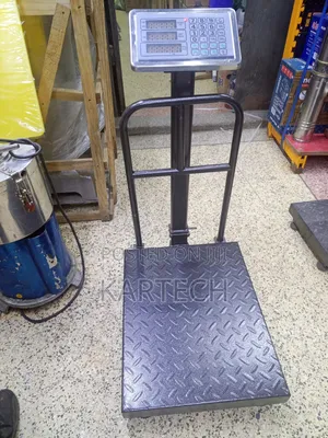 300kg Heavy Duty Industrial Digital Platform Weigh Scale